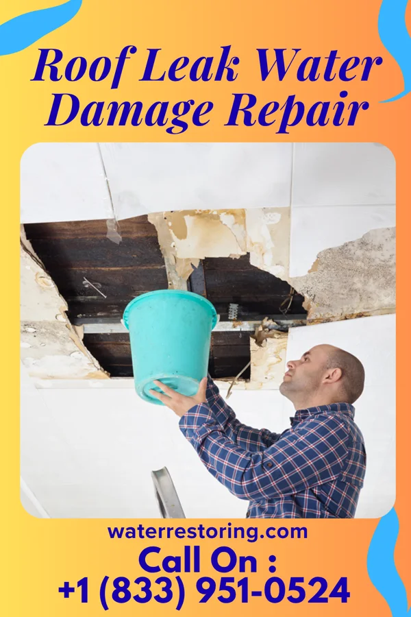 Roof Leak Water Damage Repair in New Hampton, MO