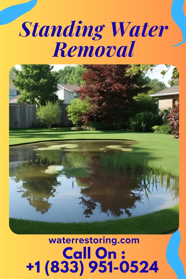 Standing Water Removal in New Hampton, MO